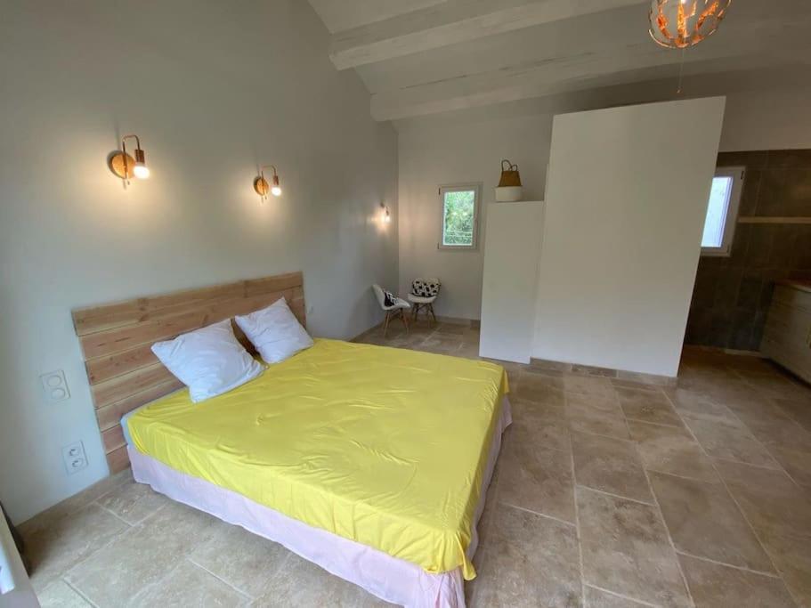 Villa Piscine - Gorges Du Verdon, Lac De Sainte-Croix Регюсс Екстер'єр фото