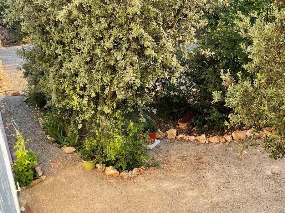 Villa Piscine - Gorges Du Verdon, Lac De Sainte-Croix Регюсс Екстер'єр фото